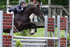 already successful in the Junior Hunter classes.