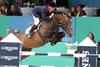 Vangelis , by Nonstop, ridden by Robert Smith / Great Britain, is a direct descendant from Apalachicola\'s grand dam line.