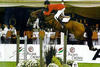 is the sire of Quaprice. He jumped outrageous successful at international level for more than a decade and produced international successful Offspring around the world.