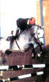 doing his first jump ever and jumps like a hunter.