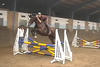 Fierro jumping one of his first jumps under tack. He follows the foot prints of his full brother Coconut Creek right into the hunter ring.