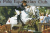 internationally successful in Europe with Bert Romp and continued being successful in the US with Elise Haas and Katie Monahan Prudent.