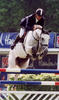 with Olympic veteran Otto Becker successful at international Grand Prix level.