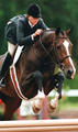 got his first jumper mileage in Germany in the young jumper division. Jennifer \"hunterized\" him and was successful in a lot of rounds in the \"First Years\".

