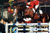 Laureatus , by Laudanum xx - Fier de Lui (Rantzau xx) always showed great ability to jump the big tracks up to the Grand Prix level.