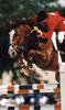 on the way to win the FEDEX Grand Prix with Todd in tack, the fastest rider on the planet.