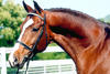 Paparazzo and his cool attitude: \"The eyes are the mirror of the soul!\"