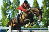 , by Fair Play III - Tanael (Ibrahim) - Foudroyant II xx, jumped successful at international Grand Prix level.