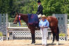 5 O\' Clock Somewhere by Don Alfredo - Schoenfled shows again the prepotency of her sire Don Alfredo for the hunter breed.