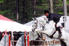 always jumping very careful with lots of scope for the Grand Prix tracks.