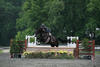 with Bruce in tack, Zeven will certainly turn into a beautiful and successful \"Small Junior\" hunter.