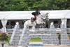 Centa SZ is the dam of Apalachicola, ridden in 3* CSI by international successful Grand Prix rider Gudrun Pattet, Belgium.
