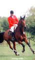 , bred and born to jump! Here under tack with international successful Grand Prix rider Todd Minikus at the 3* CSI Lummen / Belgium 2005.
