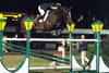 Orlando here shown at the WEF circuit in Wellington / USA successful with Darragh Kerins in tack and owned by the \"Double H Farm\".