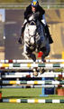 Starlet successful at her international debut in Arezzo / Italy with Gregory Wathelet in tack.