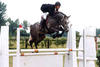 in one of his first jumper classes, equipped with enormous scope and carefulness.