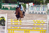 was always one of the fastest horses in the open speed classes.