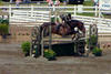 here in one of the winning rounds in the \"Amateur Owner\" hunter classes, with Lori Stevens on board.