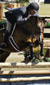 Coconut Creek finished \"Reserve Champion\" at the Tryon Summer Classic, a few month ago with Bruce in tack.