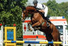 Cumani , is a direct half sister, same dam. Both inherited lots of scope and both jump very careful.