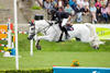 was trained and brought up to jump with great confidence everything, no matter what, with great class