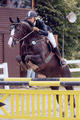 For Fun jumps like a mirror image of his international successful sire For Pleasure.