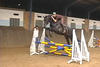 Chukka , doing his first jump ever under tack. He shows great talent for the jumper / hunter ring.