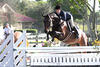 
jumping always in consistent style and careful technique with Maria Takacs on board. They earn lots of champion ribbons in the various hunter division.
