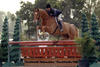  at the first WEF circuit. During his career with Dee in tack they gathered numerous \"Champion\" titles. In the \"juniors\" they won classes at the international horse show in Toronto 2008.