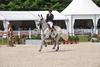 Centa SZ , dam of Apalachicola, jumps successful at 3* and 4* CSI with Gudrun Pattet / Belgium. Centa SZ also competed at the age of 7 successful at the World Championships at Zangersheide.