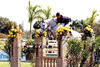 and Jimmy aboard at their first WEF in Wellington where they finished with a \"double clear\" round.