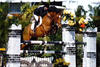 had a very successful career with Amy Lefferdink on board. They ended lots of \"High Amateur Classics\" in the top ribbons.